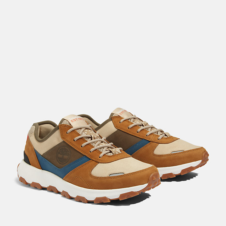 Winsor Park Sneaker For Men