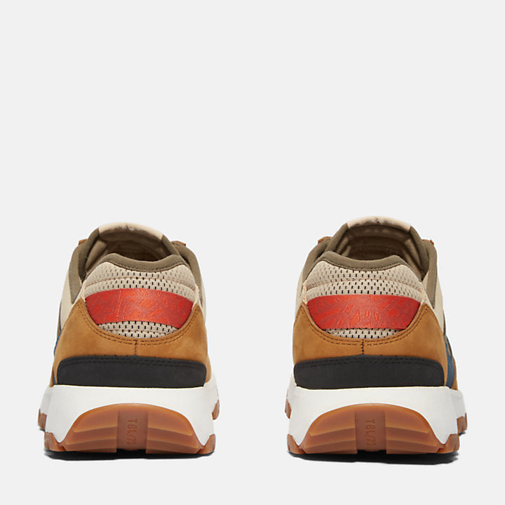 Winsor Park Sneaker For Men