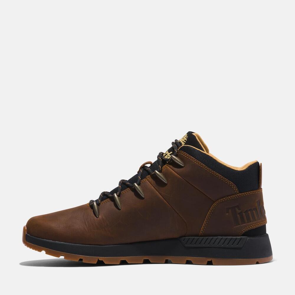 Sprint Trekker Mid Lace Up Sneaker  For Men
